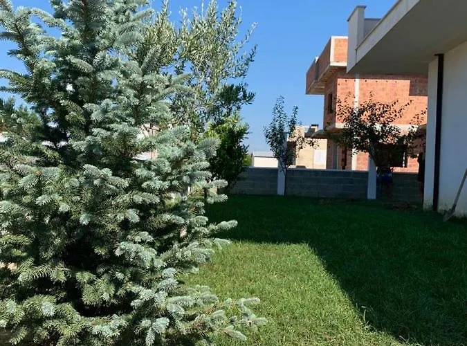 The Quiet Place * Hamallaj